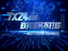 7*24小時(shí)政務(wù)服務(wù)不打烊----蕪湖市數(shù)據(jù)資源管理局（政務(wù)服務(wù)管理局）